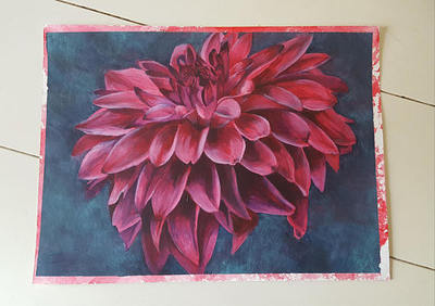 "Pink Explosion" dahlia painting by Lauren Urlacher. Acrylic on canvas paper