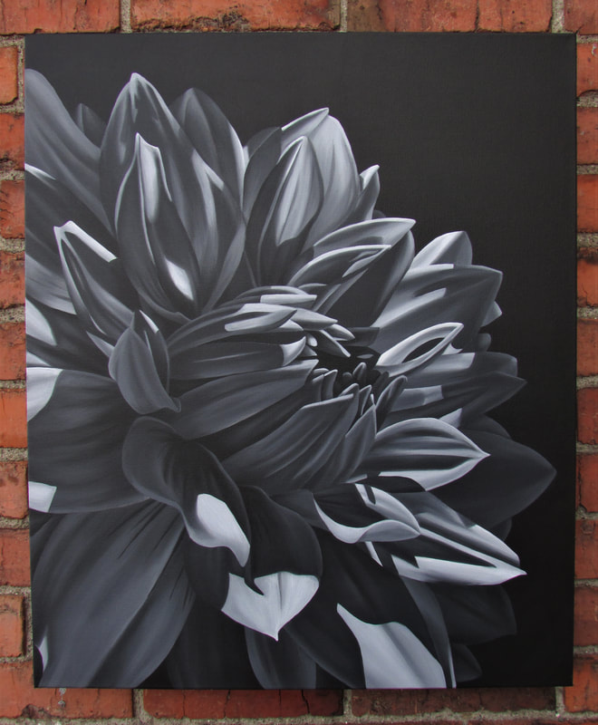 Shadow Study black and white original dahlia painting by Lauren Urlacher